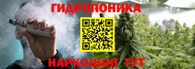 шишки Комсомольск-на-Амуре