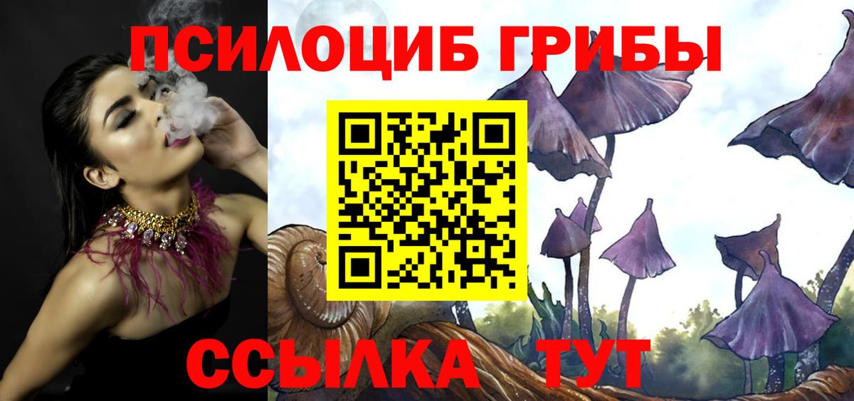 Псилоцибиновые грибы мицелий Кирово-Чепецк
